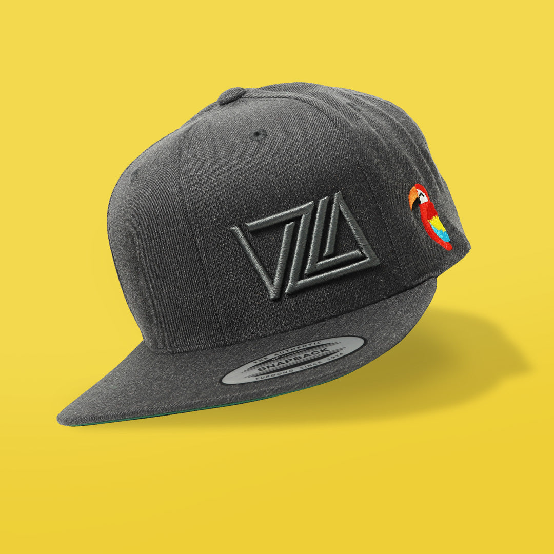 VZLA Flat Bill Snapback Hat (Guacamaya)