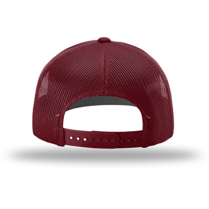 VEN - Venezuela Trucker Strike