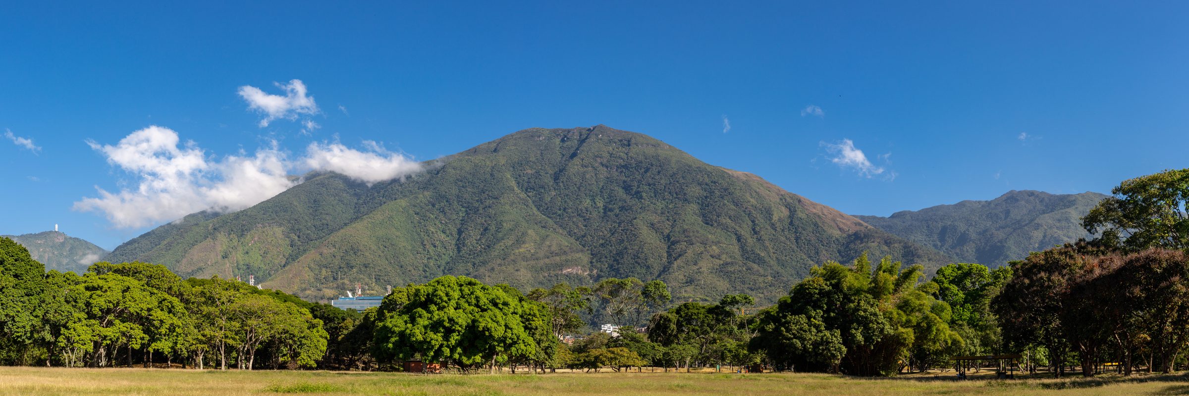 Paisaje venezolano