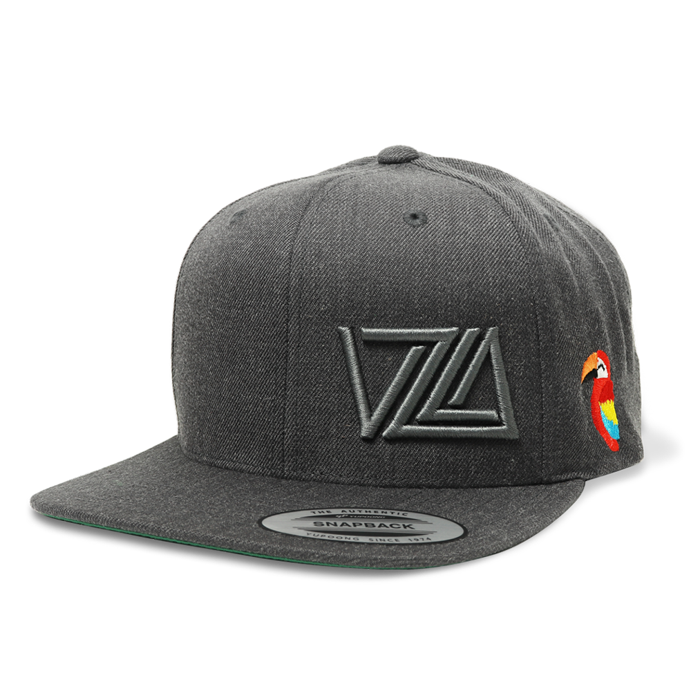 VZLA Flat Bill Snapback Hat (Guacamaya)