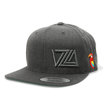 VZLA Flat Bill Snapback Hat (Guacamaya)